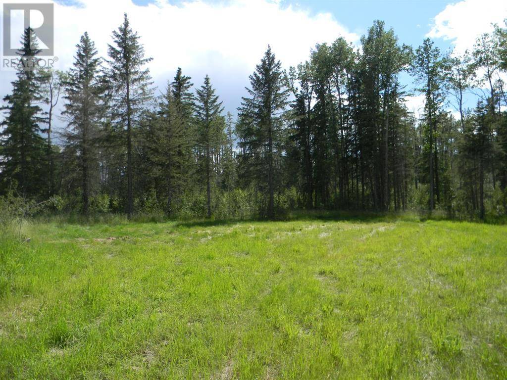 Rural Clearwater County, AB T4T1A7,115 Meadow Ponds Drive