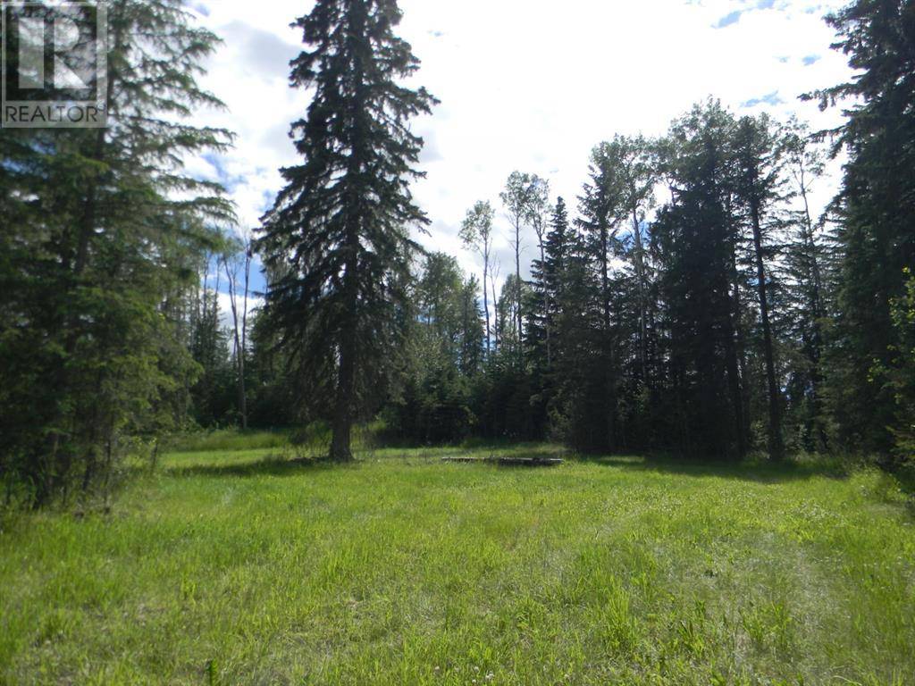 Rural Clearwater County, AB T4T1A7,123 Meadow Ponds Drive