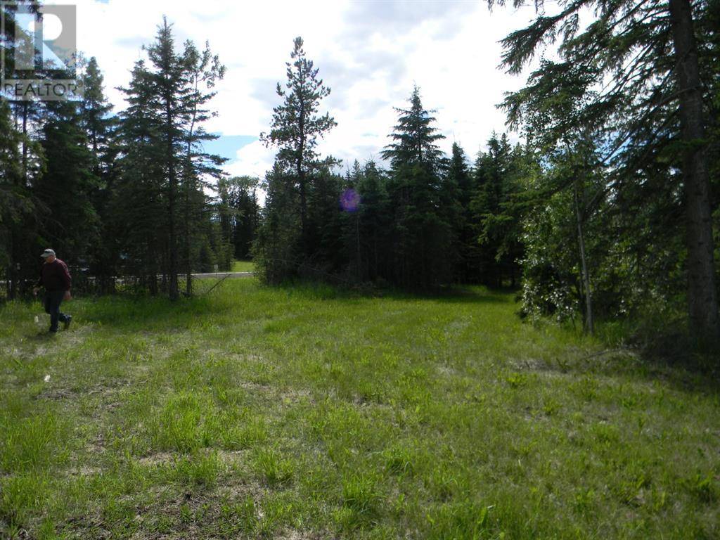 Rural Clearwater County, AB T4T1A7,116 Meadow Ponds Drive