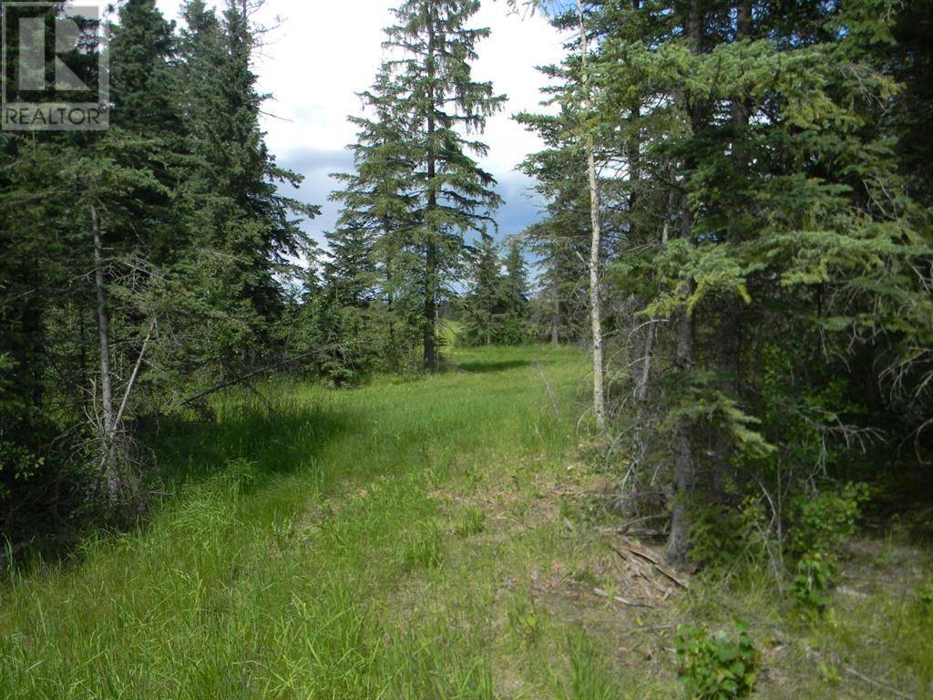 Rural Clearwater County, AB T4T1A7,116 Meadow Ponds Drive