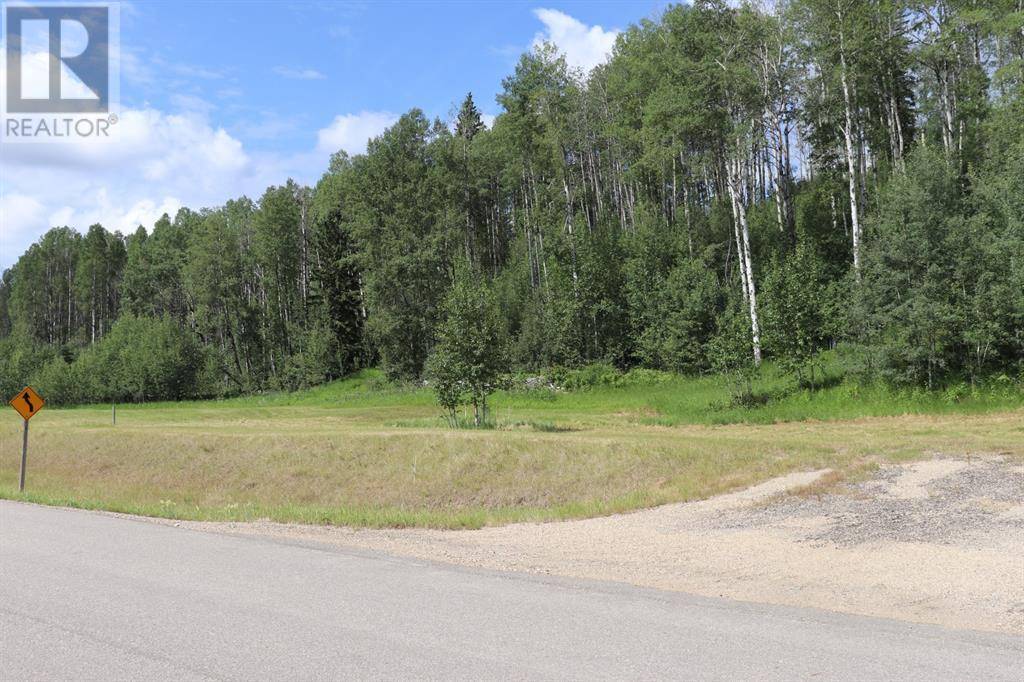 Rural Yellowhead County, AB T7E3A6,23, 16511 Township Road Subdivision