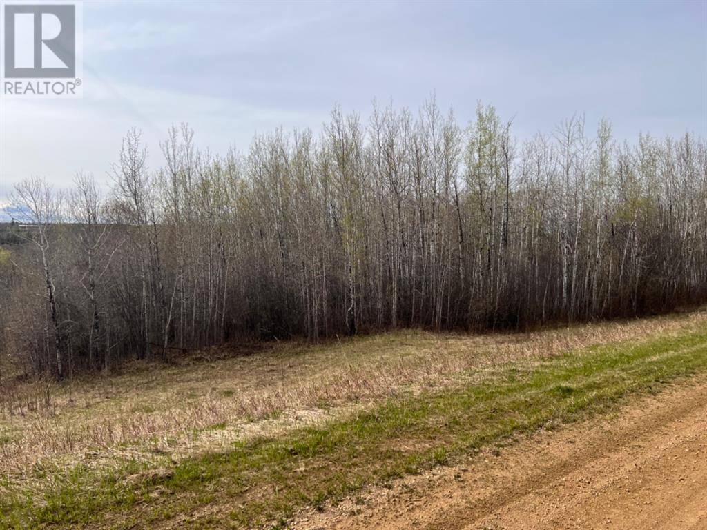 Athabasca, AB T9S1C4,Lot #7 Survey Road