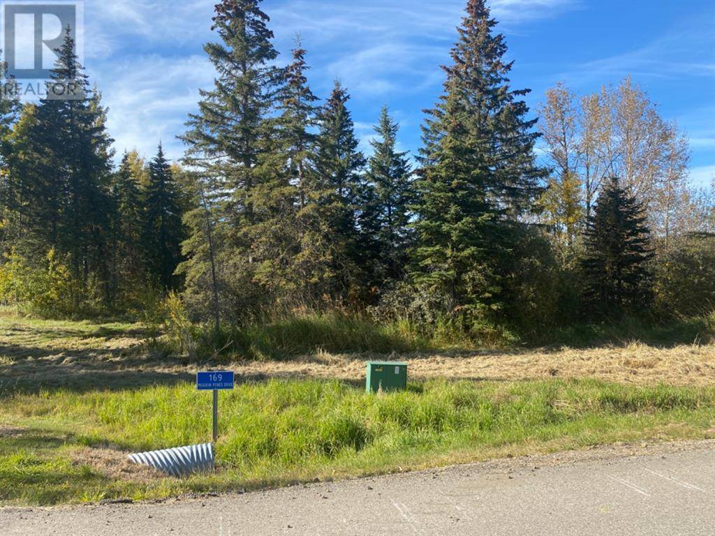 Rural Clearwater County, AB T4T1A7,169 Meadow Ponds Drive