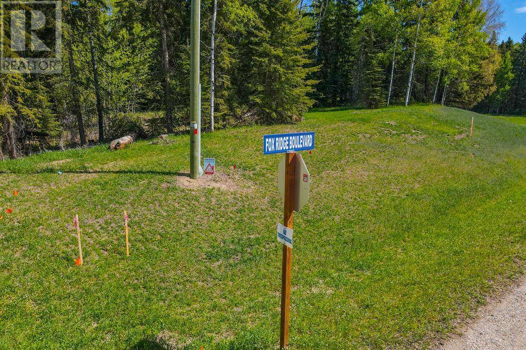 Rural Clearwater County, AB T4T2A4,201 FOX STONE Place