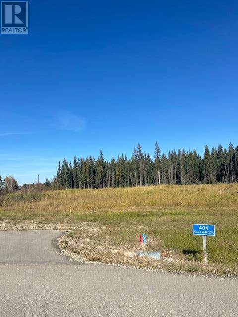 Rural Clearwater County, AB T4T1A7,400 Valley View Close