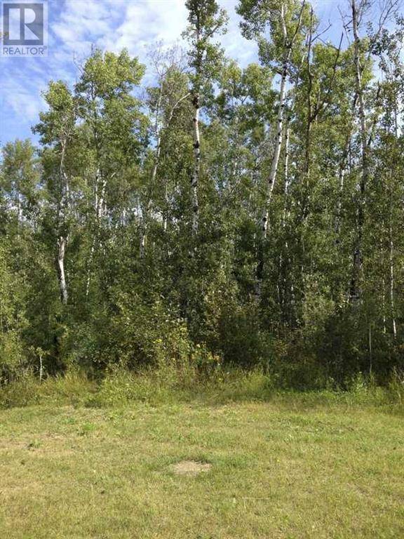 Rural Athabasca County, AB T9S2A6,8 Antler Close