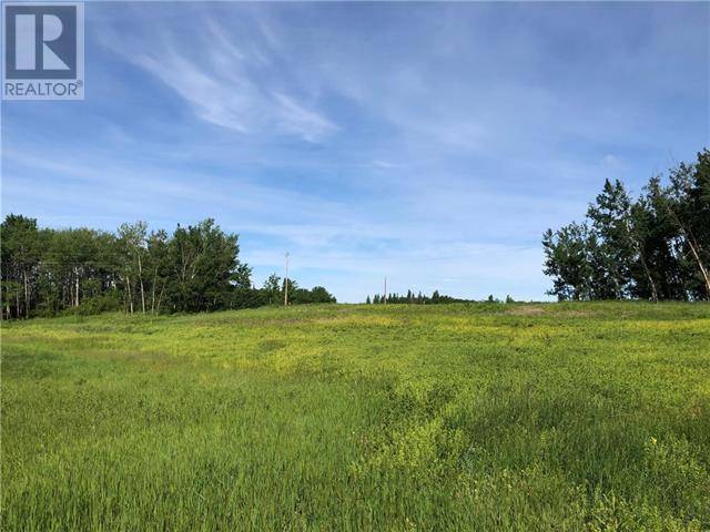 Plamondon, AB T0A2T0,Lot 12 Campsite Road