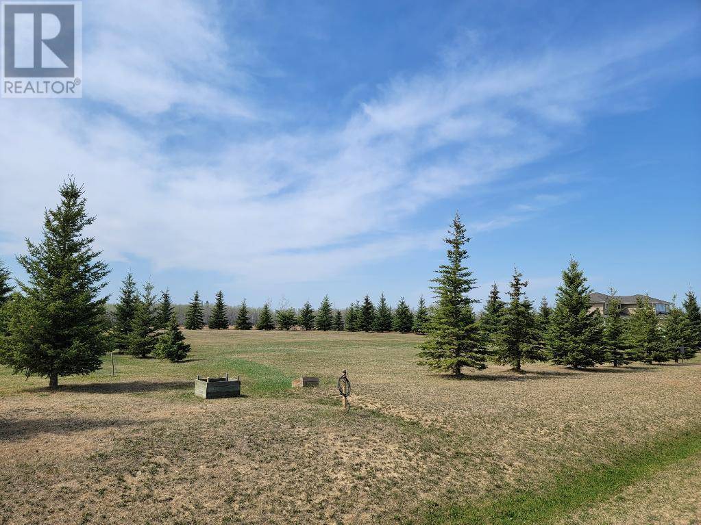 Athabasca, AB T9S0B8,Lot 4 Tower Road