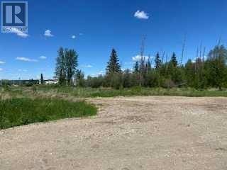 Whitecourt, AB T7S1N8,49 Ave Dahl Drive