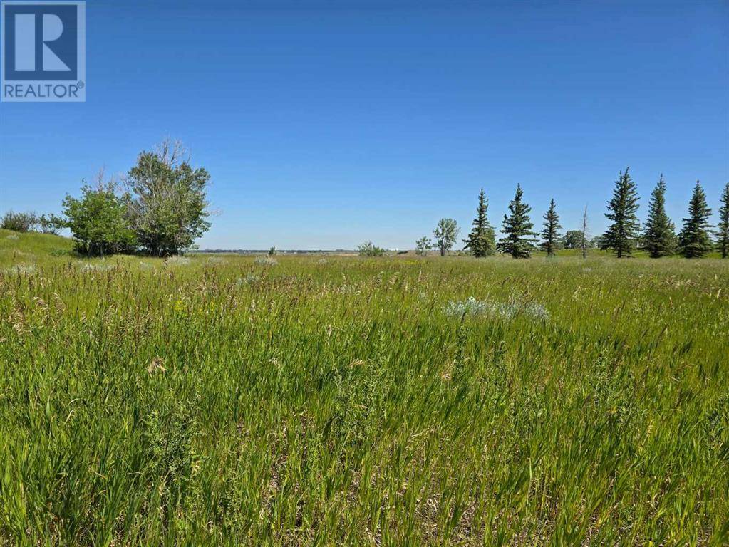 Rural Lethbridge County, AB T1K8G5,RR 215