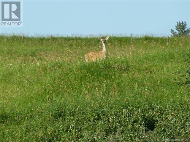 Rural Ponoka County, AB T4J1R3,9, 420069 Range Road 284