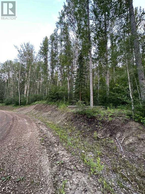 Rural Grande Prairie No. 1 County Of, AB T0H0C0,#15 Wapiti River