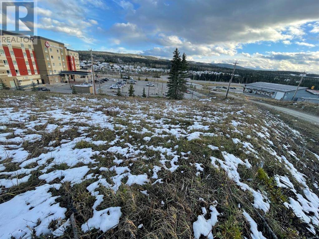 Hinton, AB T7V1Z9,245 Dow Drive