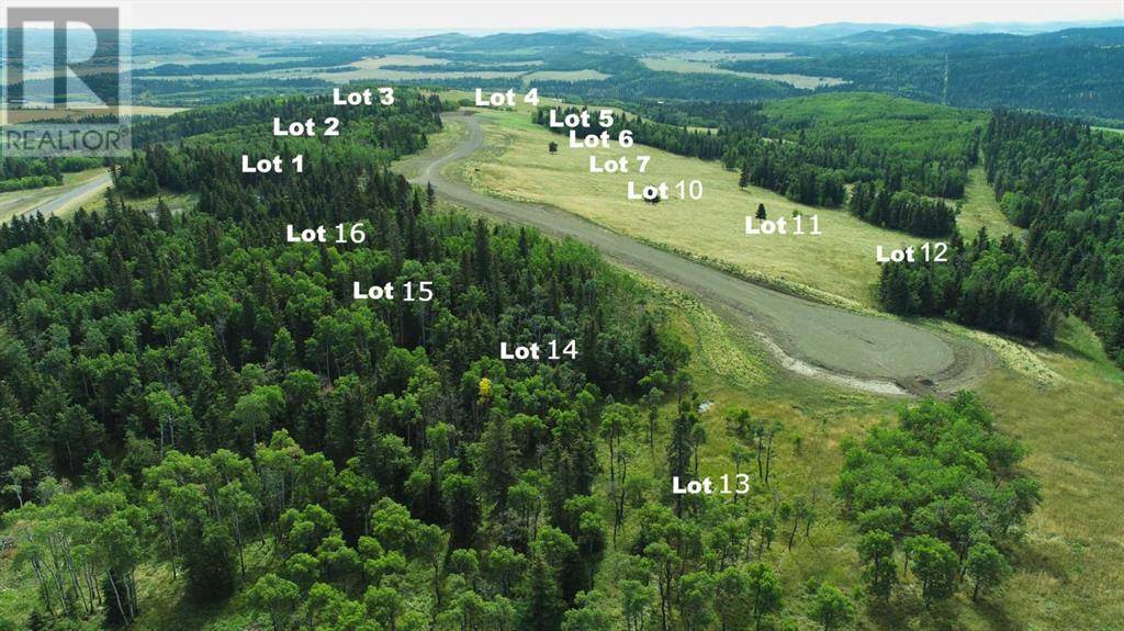 Rural Foothills County, AB T0L1W4,Lot 13 Whiskey Springs Hill W