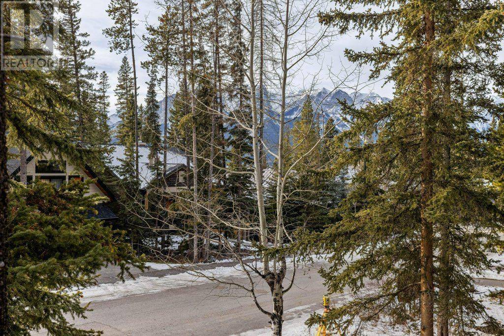 Canmore, AB T1W3A8,2, 116 Silvertip Ridge