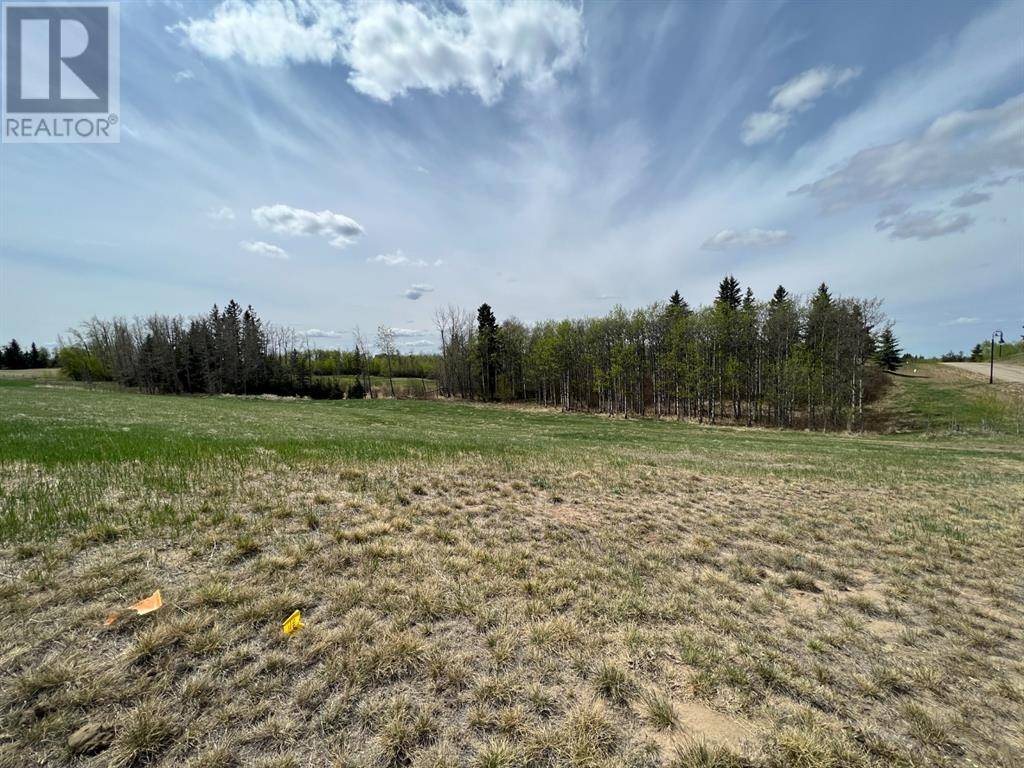 Rural Ponoka County, AB T4J1R3,143 Wolf Run Drive