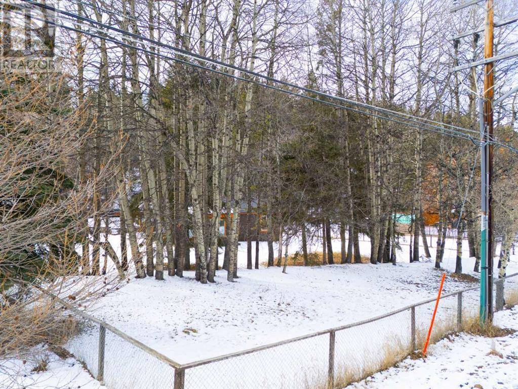 Canmore, AB T1W2M4,219 Three Sisters Drive