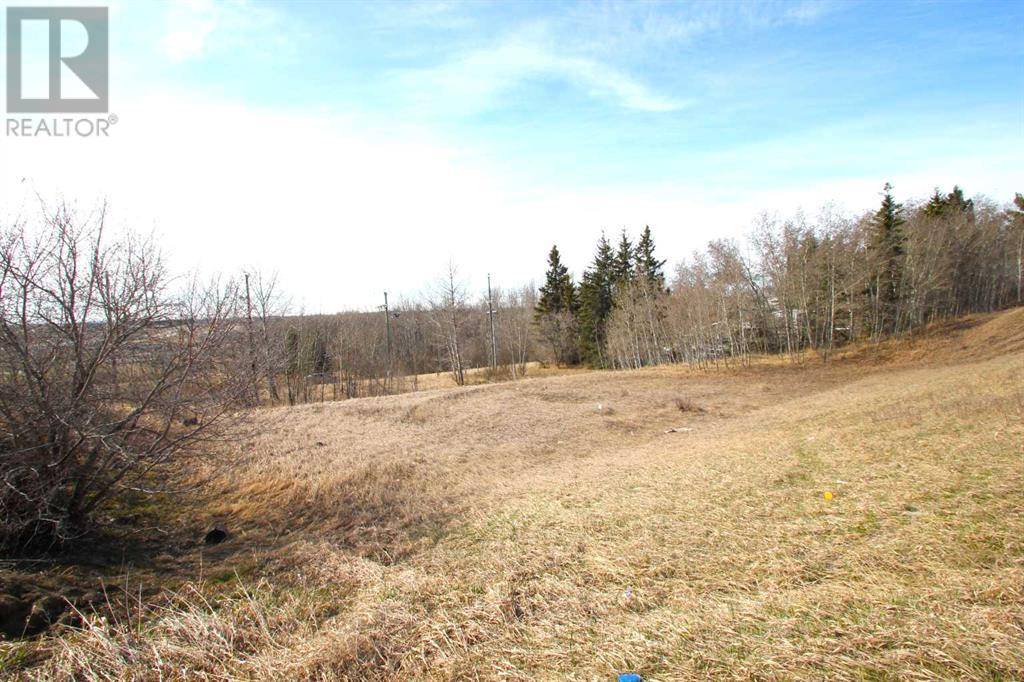 Blackfalds, AB T0M0J0,4906 south