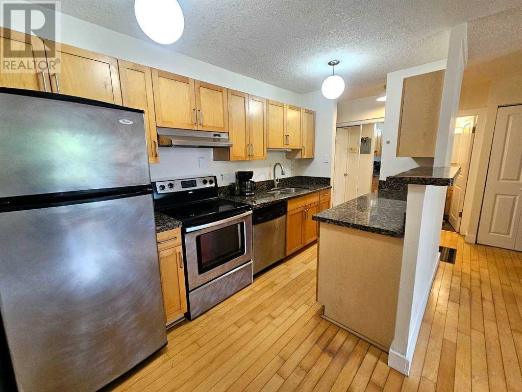 Calgary, AB T2N0E6,205, 934 2 Avenue NW