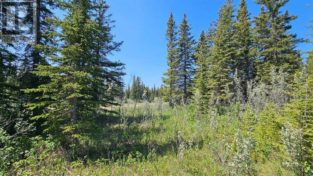 Rural Mountain View County, AB T0M1X0,4, 34364 Range Road 42