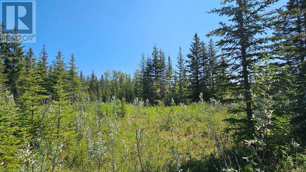 Rural Mountain View County, AB T0M1X0,4, 34364 Range Road 42