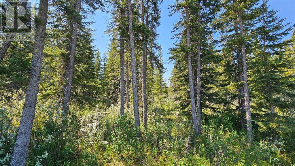 Rural Mountain View County, AB T0M1X0,7, 34364 Range Road 42