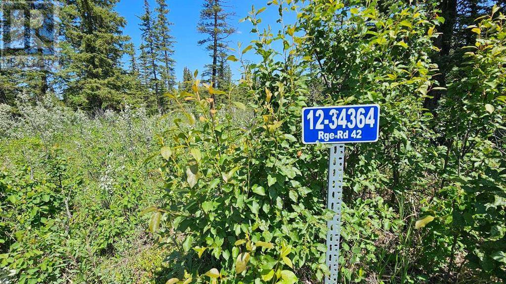Rural Mountain View County, AB T0M1X0,12, 34364 Range Road 42