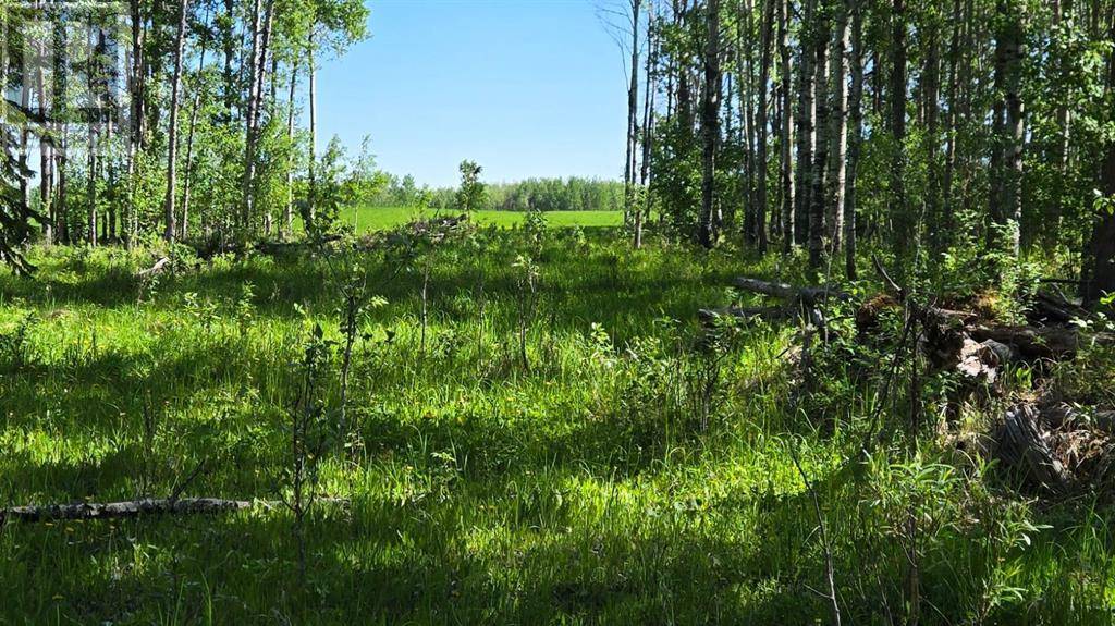Rural Ponoka County, AB T0C2X0,Highway 20