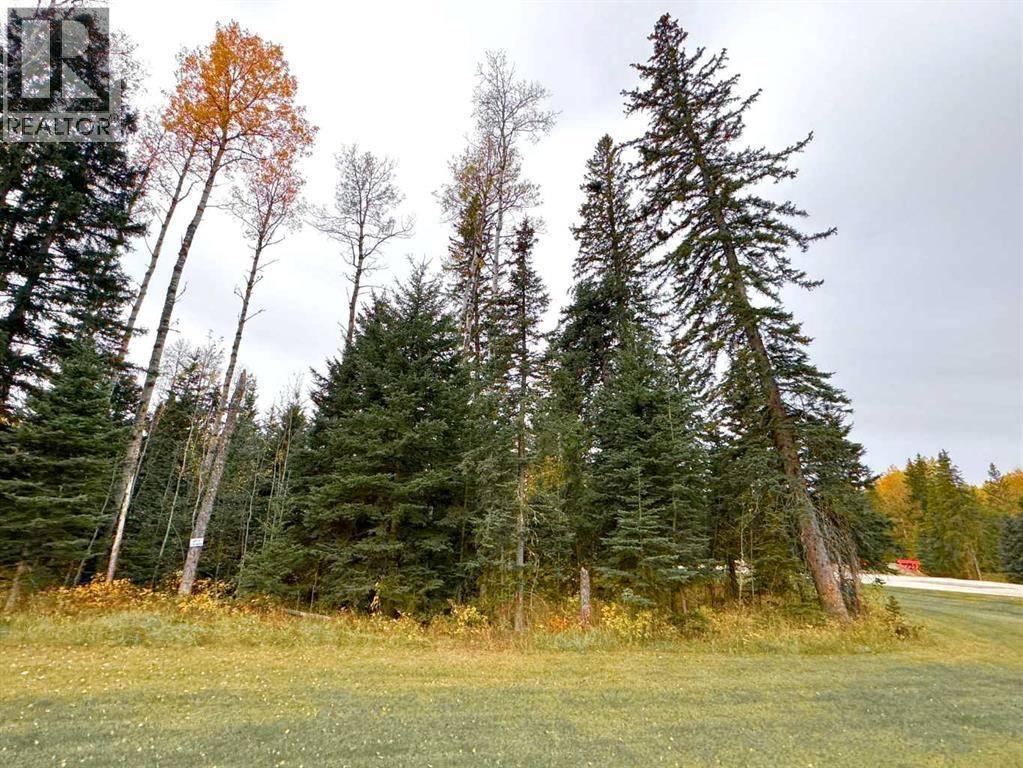Rural Clearwater County, AB T4T1A7,201 High Timber Place