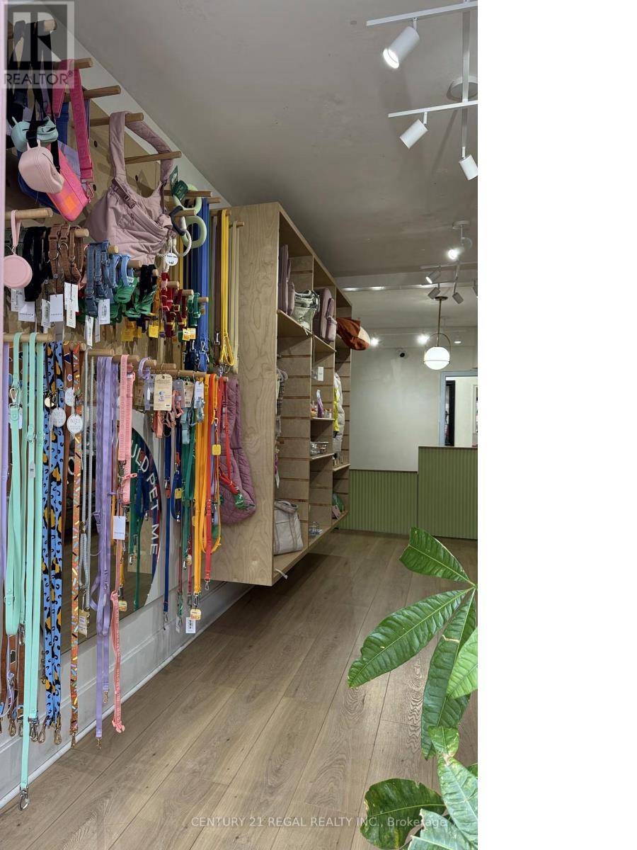 Toronto (trinity-bellwoods), ON M6J1V2,801 DUNDAS STREET W