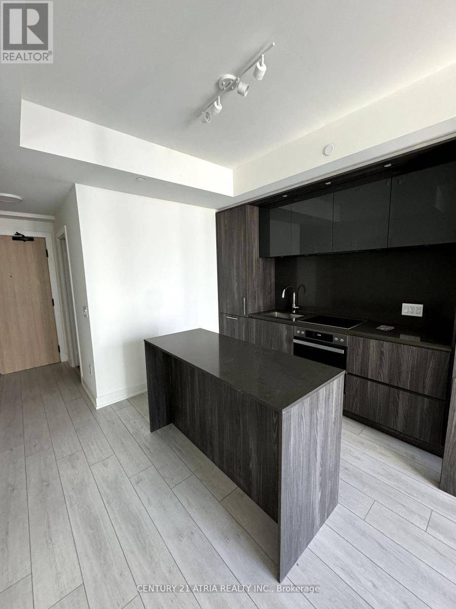 Toronto (waterfront Communities), ON M5V0T8,15 Mercer ST #2305