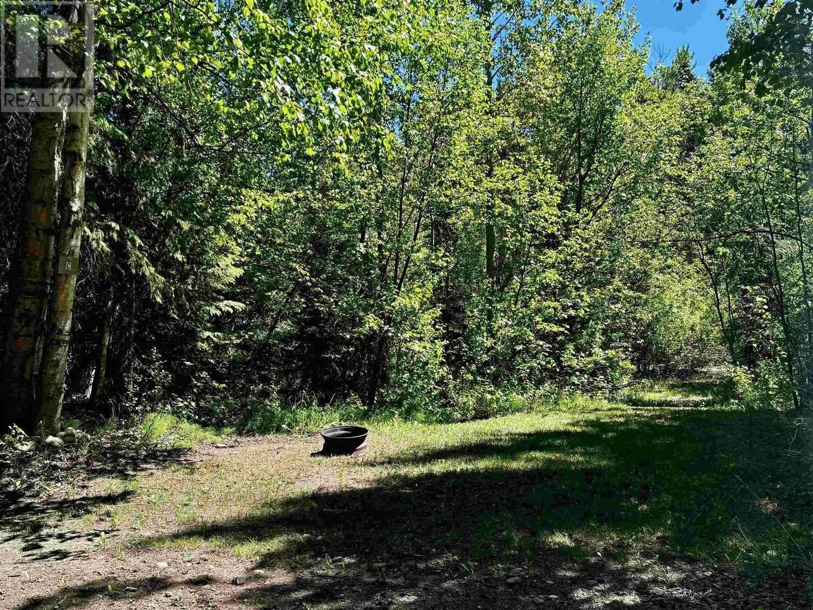 Valemount, BC V0E2Z0,60 N 5 HIGHWAY