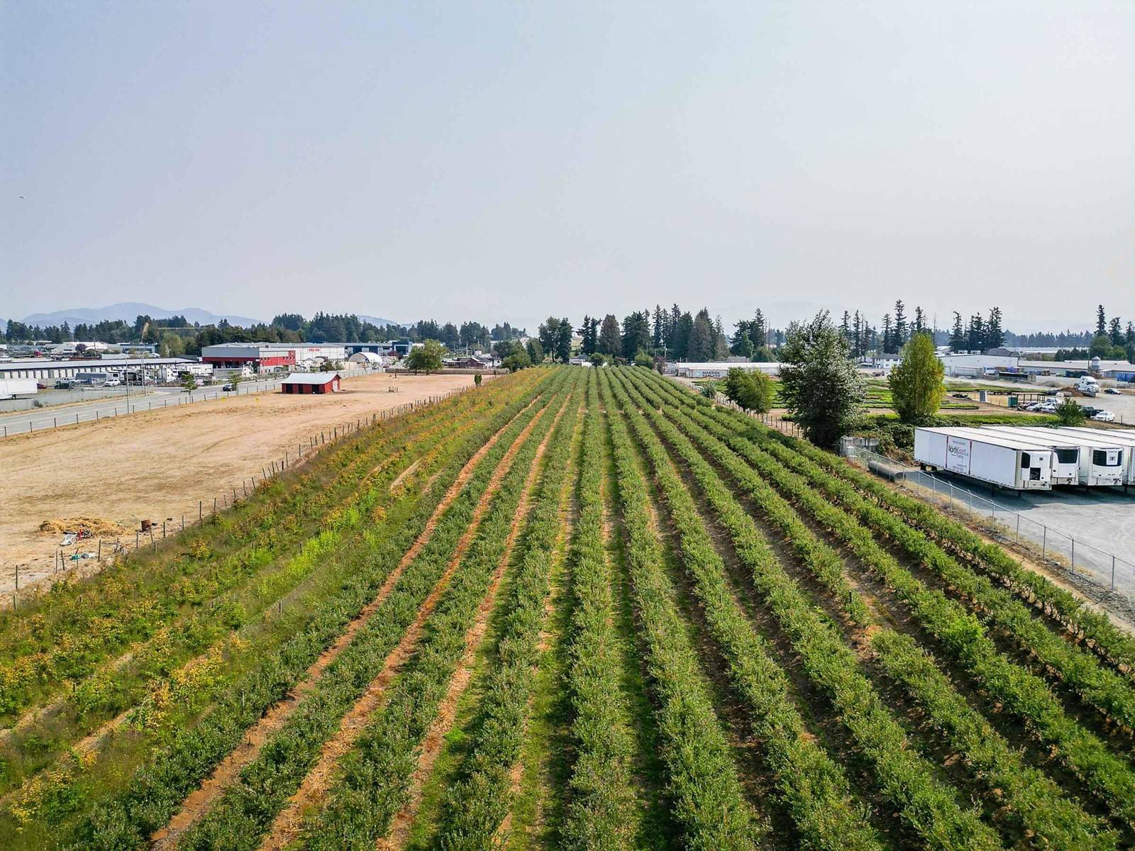Abbotsford, BC V2T6E2,1963 TOWNLINE ROAD