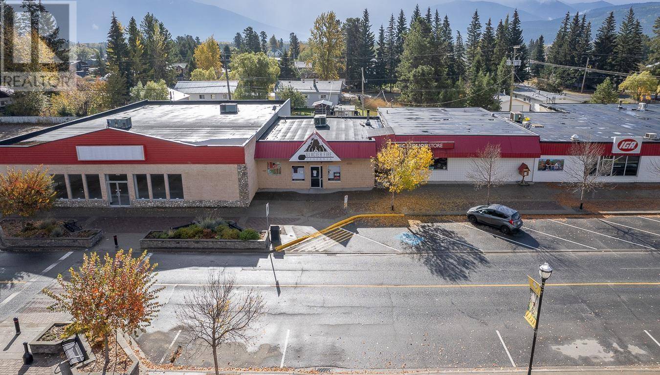 Valemount, BC V0E2Z0,1163 5TH AVENUE