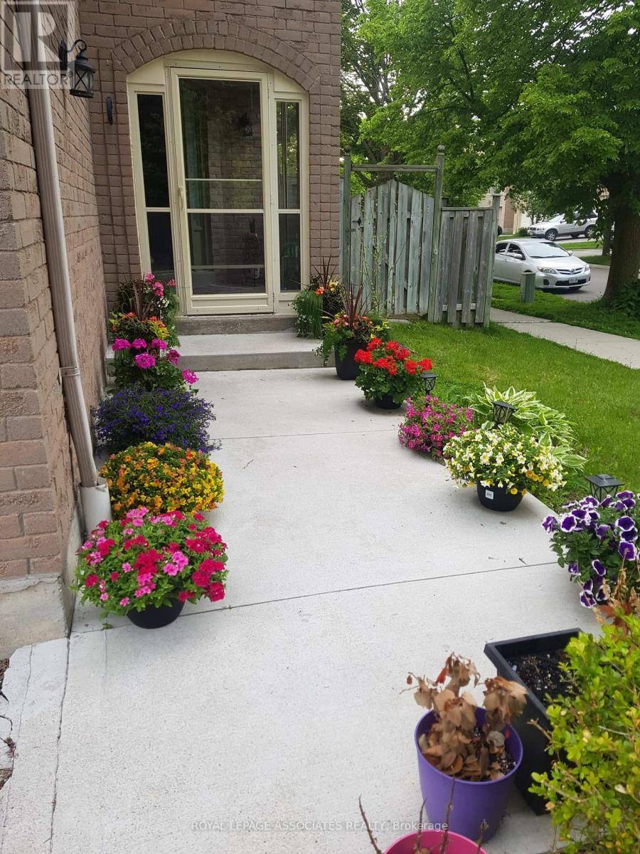 Toronto (rouge), ON M1C4P9,9 Ridgewood RD #BSMT