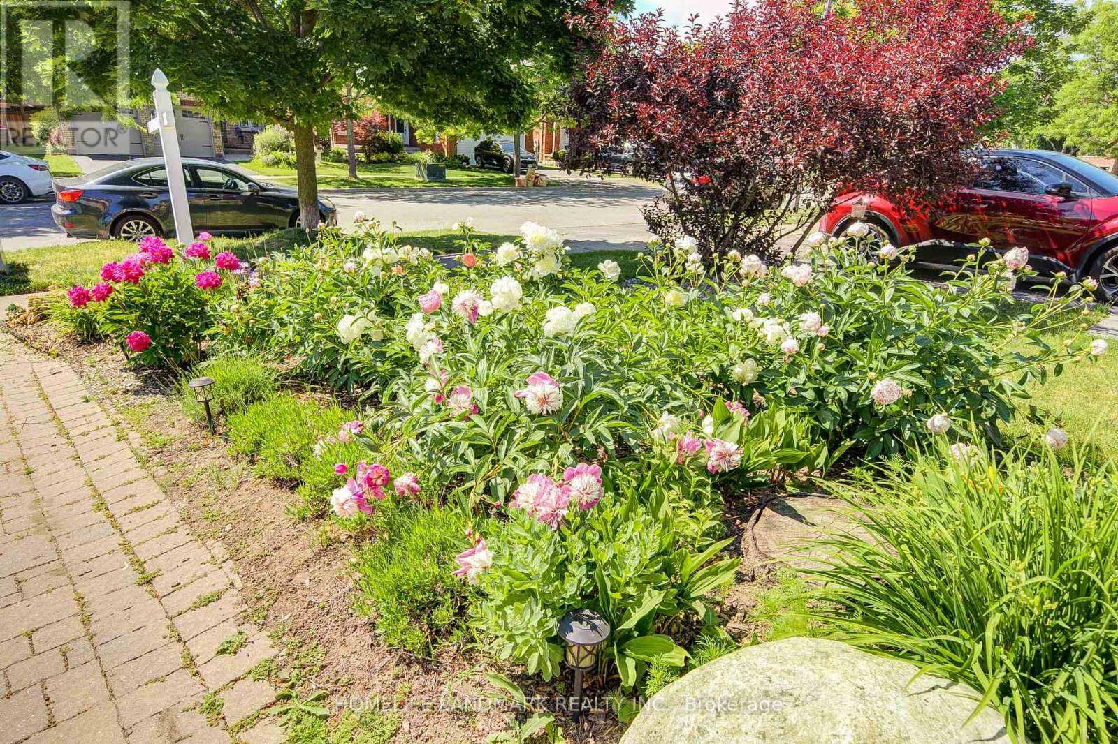 Pickering (highbush), ON L1V6R4,1925 PINE GROVE AVENUE