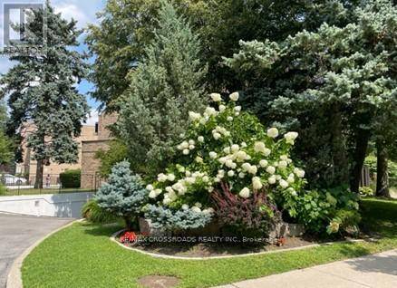 Toronto (west Hill), ON M1E4V9,140 Ling RD #97