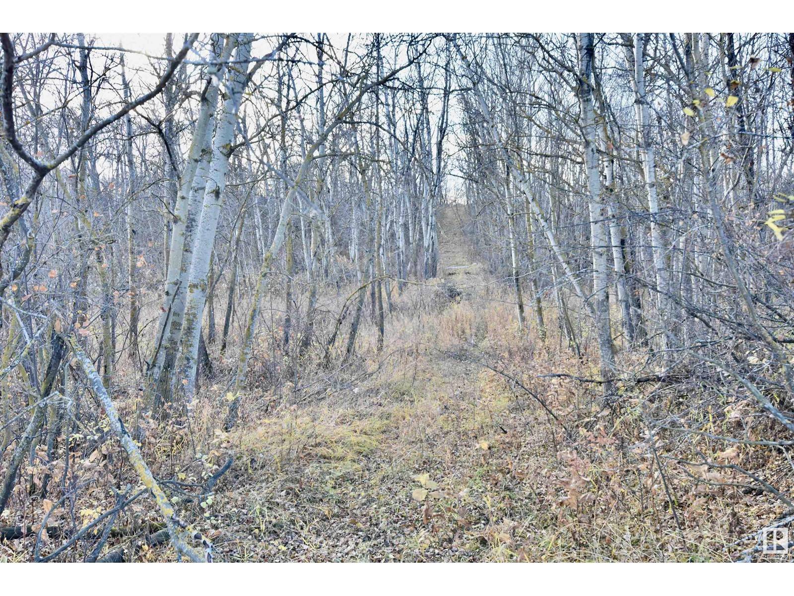Rural St. Paul County, AB T0A3A0,TWP RD 574 RR 93