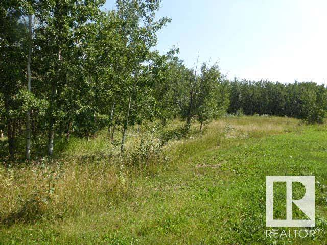 Rural Leduc County, AB T0C0V0,40 26555 Twp 481