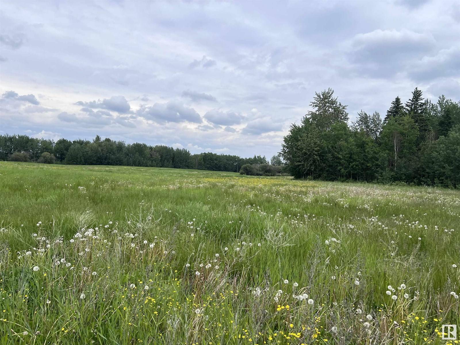 Rural Westlock County, AB T0G0S0,62424 RR 255