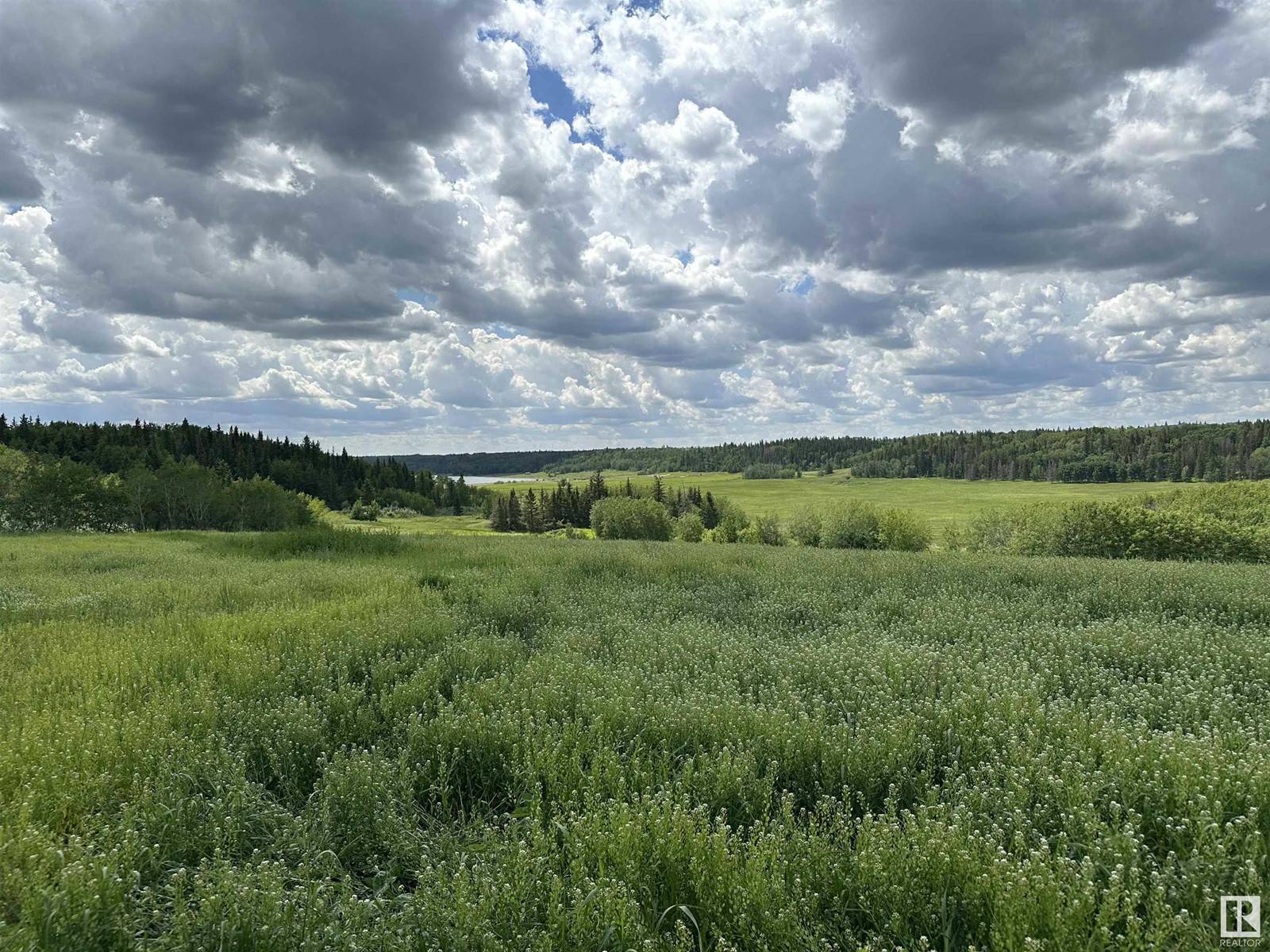 Rural Leduc County, AB T0C1Z0,B 23509 Twp Rd 484