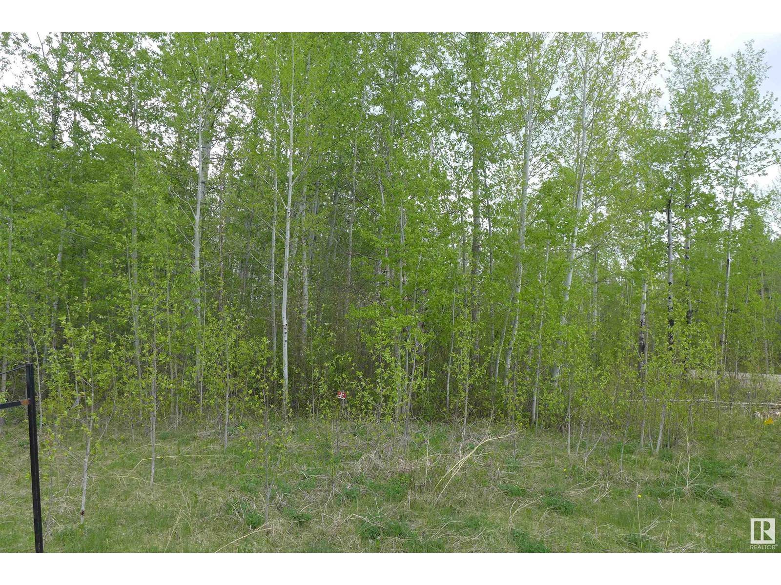 Rural Wetaskiwin County, AB T0C2V0,23 11032 - Hwy 13