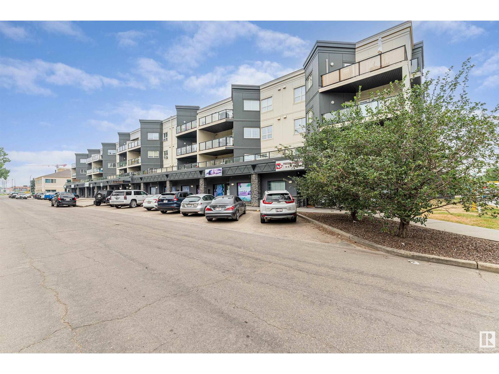Edmonton, AB T6E6V7,#310 10116 80 AV NW