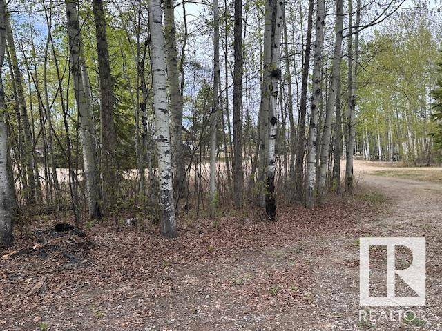Rural Barrhead County, AB T0G0G0,#1 5508 TWP RD 593A