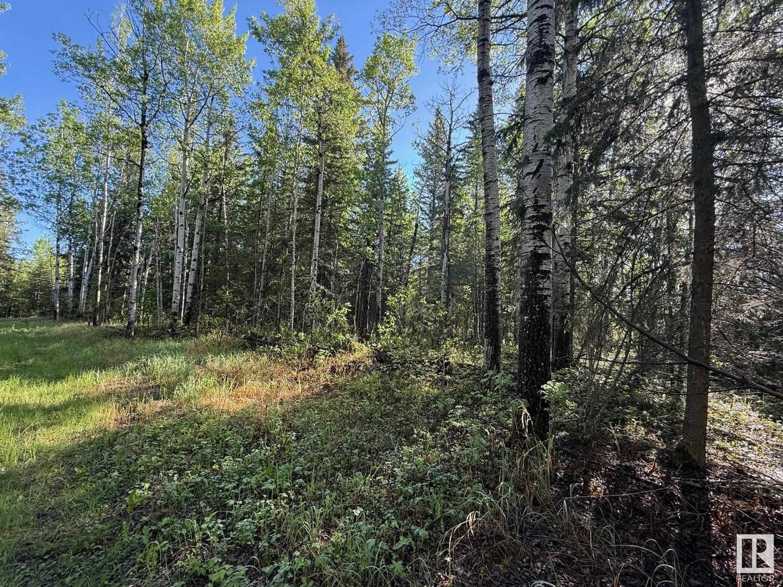 Rural Athabasca County, AB T0G0R0,NE-6-64- 22-W of 4