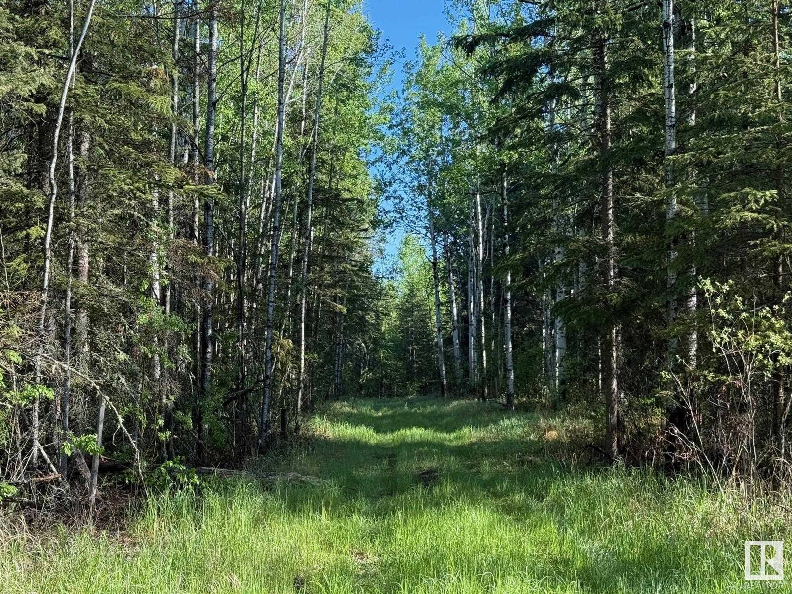 Rural Athabasca County, AB T0G0R0,NE-6-64- 22-W of 4