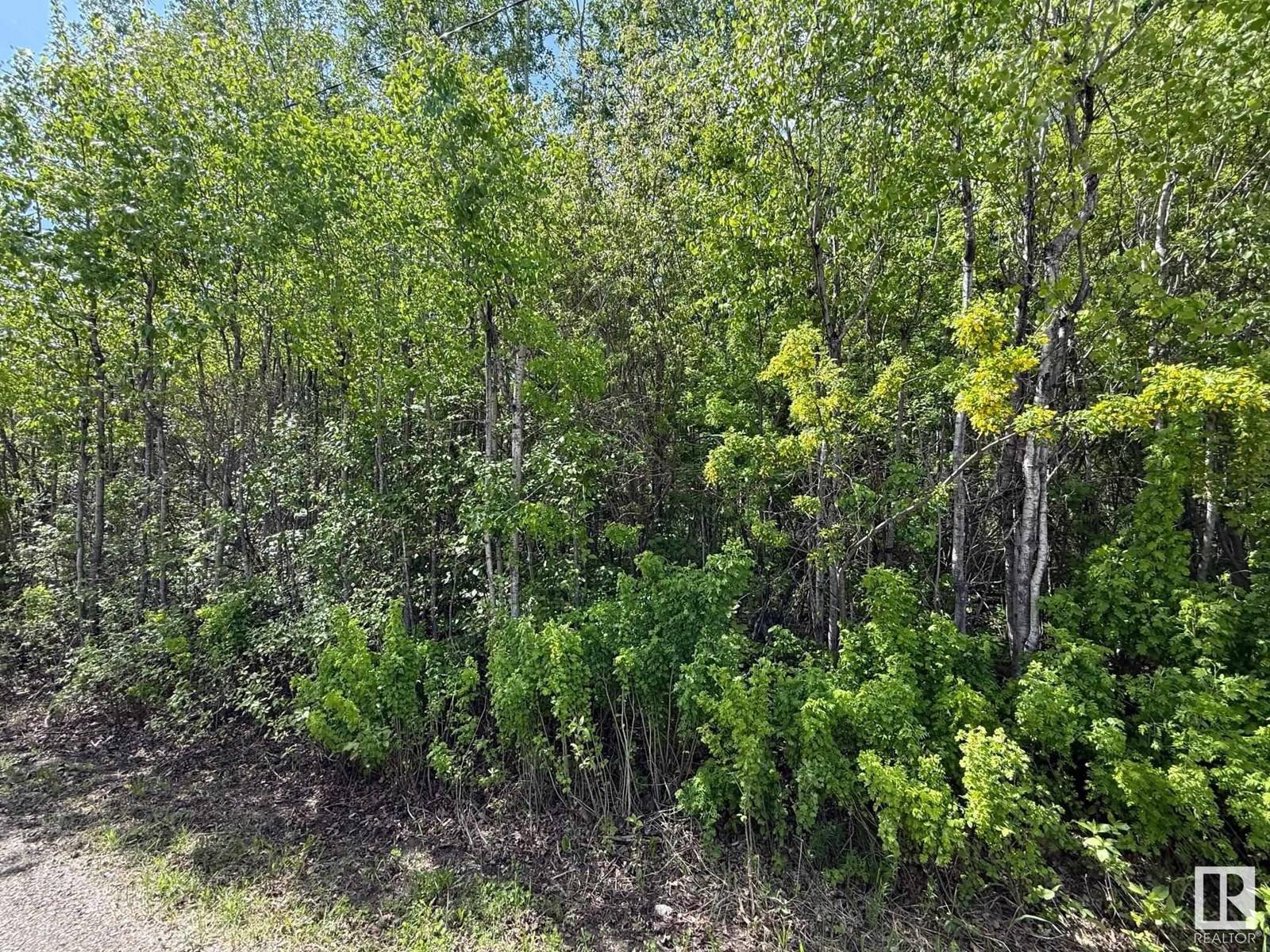 Rural Athabasca County, AB T9S1R8,Lot 6 Baptiste DR