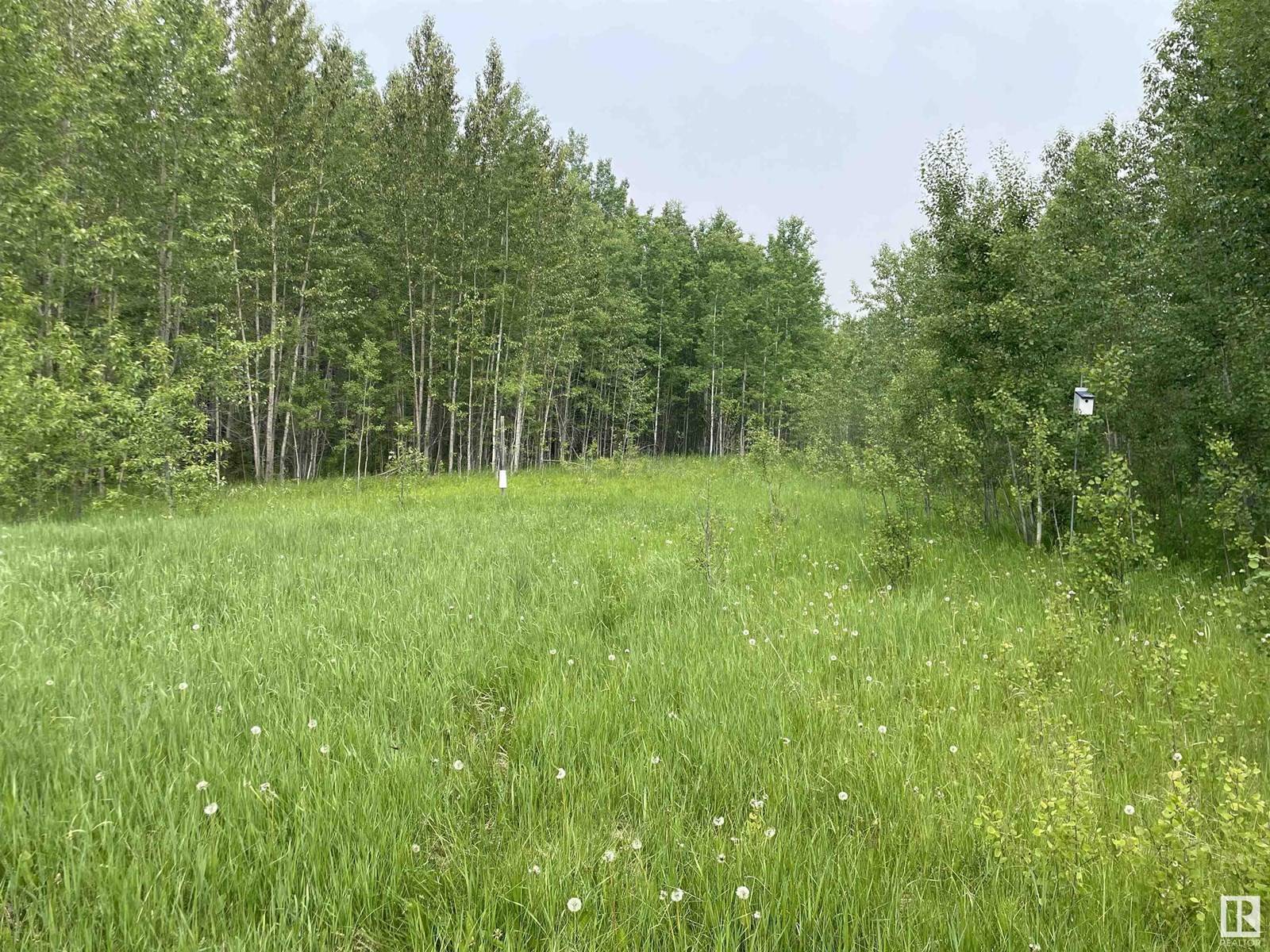 Rural Wetaskiwin County, AB T0C2C0,50 Street Mulhurst Bay