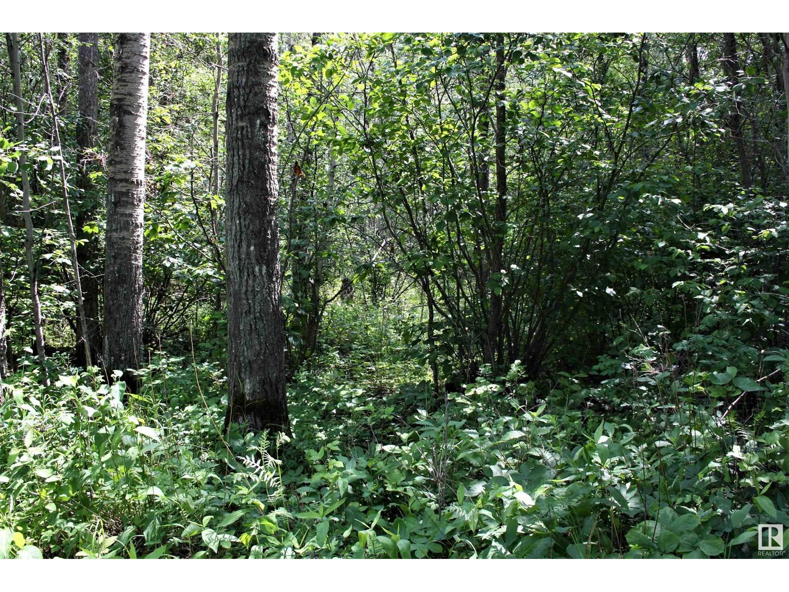 Rural Athabasca County, AB T9S1B9,1 652051 Rng Rd 224