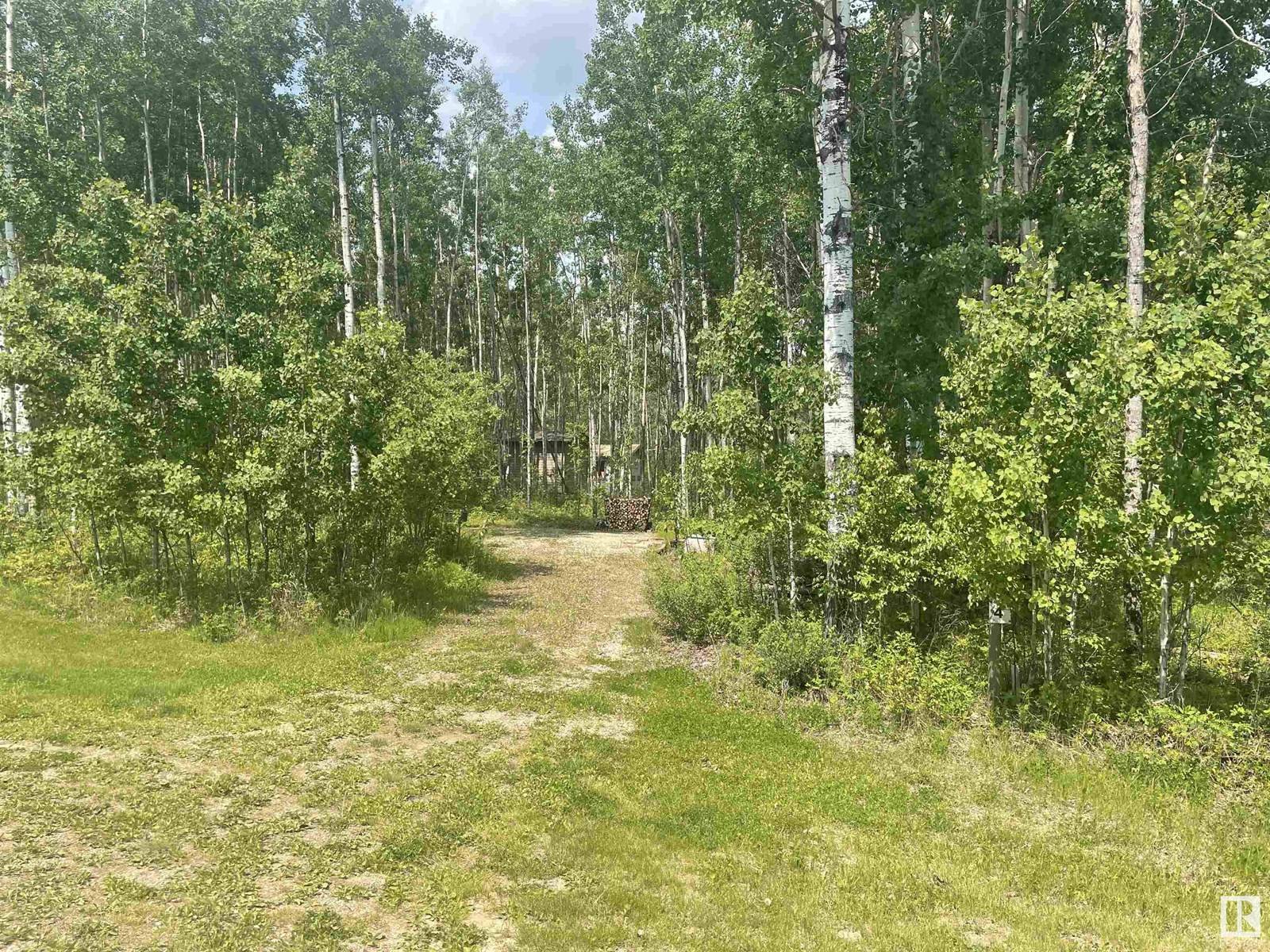 Rural Lac Ste. Anne County, AB T0E0L0,#74 5519 TWP RD 550